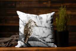 Kookaburra Cushion Design - Australian Bird Native Wildlife Double-Sided Decorative Neutral Tone - thumbnail 1
