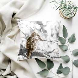 Kookaburra Cushion Design - Australian Bird Native Wildlife Double-Sided Decorative Neutral Tone - thumbnail 2
