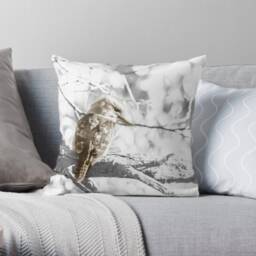 Kookaburra Cushion Design - Australian Bird Native Wildlife Double-Sided Decorative Neutral Tone - thumbnail 3