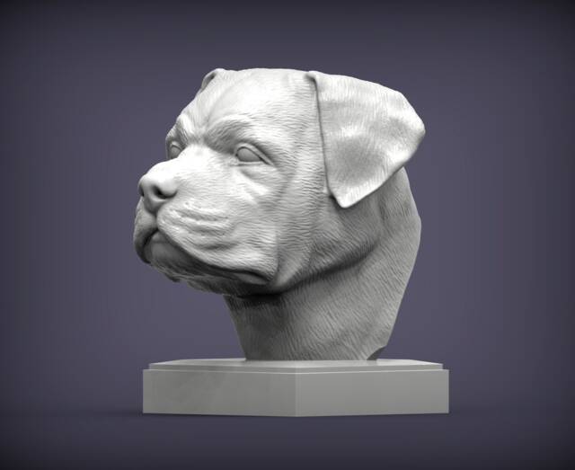 3D Printed Rottweiler Bust Pet Memorial Dog Figurine - image 1