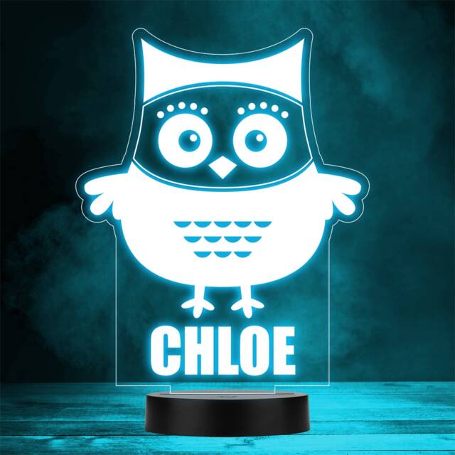 Cute Cartoon Owl Bird Animal Colour Change Led Personalised Gift Night Light - image 1