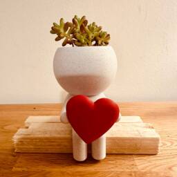 Quirky Custom Succulent Planter Airplant Holder Wee Jimmy Big Love - Ships From Usa - thumbnail 3