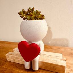 Quirky Custom Succulent Planter Airplant Holder Wee Jimmy Big Love - Ships From Usa - thumbnail 2