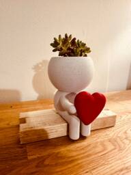 Quirky Custom Succulent Planter Airplant Holder Wee Jimmy Big Love - Ships From Usa - thumbnail 1