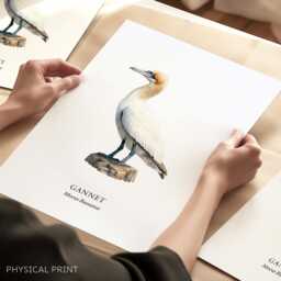 Bird Poster, Gannet Print, Lover Gift, Home Wall Decor - thumbnail 1