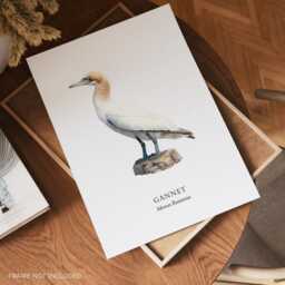 Bird Poster, Gannet Print, Lover Gift, Home Wall Decor - thumbnail 2