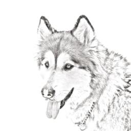 Alaskan Malamute - Wooden Stand For Candles/Pens With The Image Of A Dog New Collection - thumbnail 2