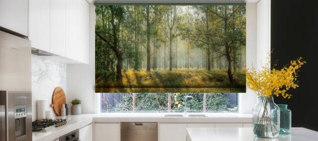 Sunrays Hitting The Forest Summer Landscape Printed Custom Made Window - Vnt90 Roller Blind, Regular Or Blackout Shade, Chain Cordless - image 1