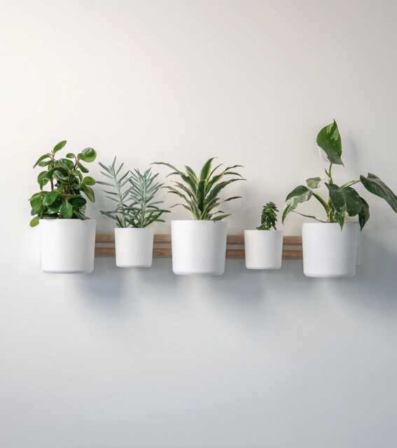 The Horizontal Rail Wall Planter - Pine Dowels Included Indoor Herb & Plant Display 3D Printed - image 1