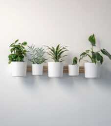 The Horizontal Rail Wall Planter - Pine Dowels Included Indoor Herb & Plant Display 3D Printed - thumbnail 1