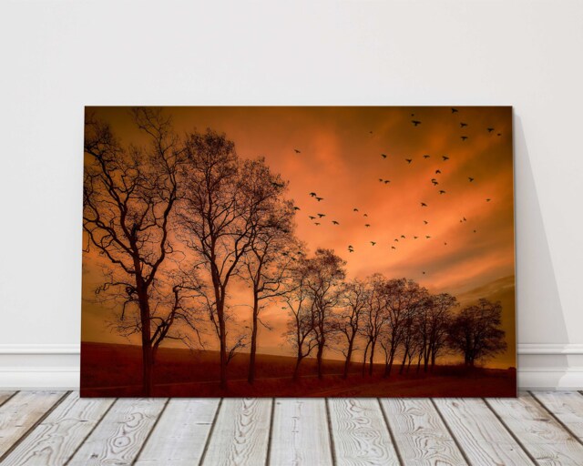 Autumn Sunset Canvas Print Flying Birds Peaceful Landscape Wall Art Decor - image 1
