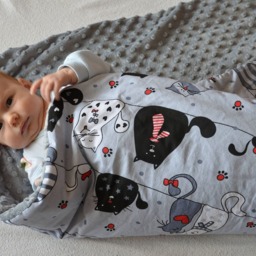 Newborn Blanket, Swaddle Baby Blanket, Minky Gift Idea, Shower Gift, Steckkissen, Cats Blanket - thumbnail 4