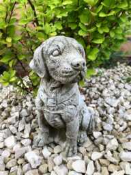Retriever Puppy Dog Stone Statue - Vintage Animal Garden Ornament Outdoor Indoor British Pet Gift - thumbnail 1
