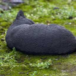 Black Curled Cat Figure Stone Sleeping Kitty Statue Concrete Kitten Decoration Cement Memorial Ornament Pet Lover Gift Garden - thumbnail 4