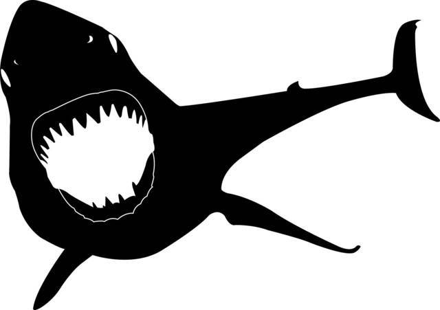 Shark Wall Decal Set Two Mean Sharks Vinyl Stickers - image 1