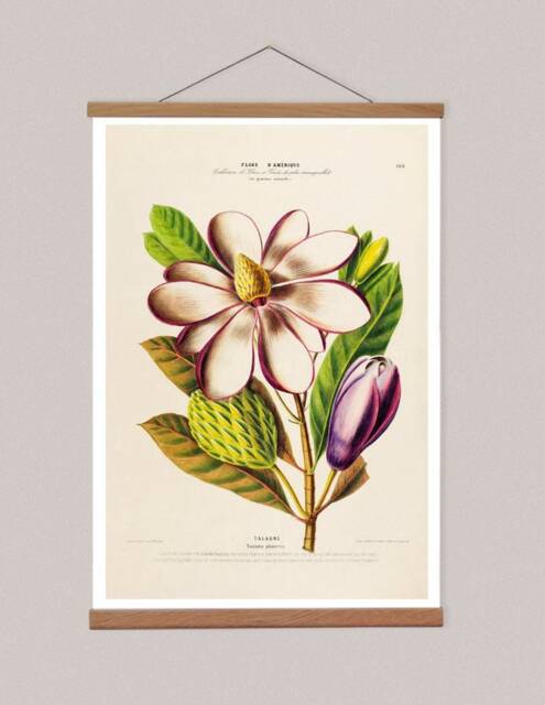 Botanical Canvas Print With Wooden Magnetic Hanger, American Flowers - image 1