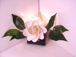 Magnolia Seashell Nightlight. Clam Shell Petals, Yellow Stamen, Green Silk Leaves. Delivered in Corsage Box
