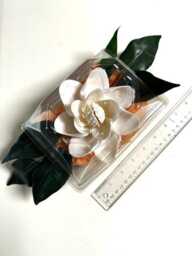 Beach Seashell Magnolia Shape Night Light. White Clam Shell Petals, Yellow Stamen, Green Silk Leaves. Delivered in Corsage Box - thumbnail 2
