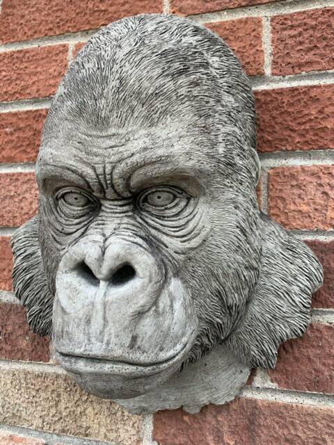stone Garden Large Natural Detailed Gorilla Head Wall Hanging Plaque Ornament - image 1