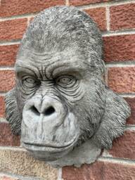 stone Garden Large Natural Detailed Gorilla Head Wall Hanging Plaque Ornament
