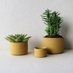 Terracotta Yellow Concrete Planters - Minimalist Desk Organizer - thumbnail 2
