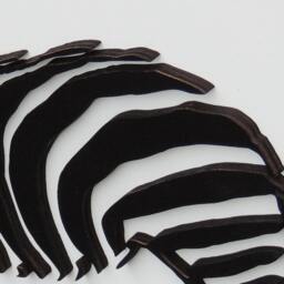 3D Zebra, Laser Cut Wooden Wall Decoration - thumbnail 3