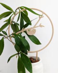 Sloth Trellis - Houseplant Wood Plant Stake