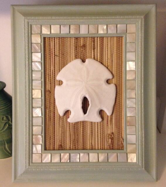 Sand Dollar in Light Green Frame Accented With Mother Of Pearl