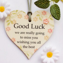 Good Luck Pink Peach Blush Wooden Gift Heart Plaque/Sign - thumbnail 2