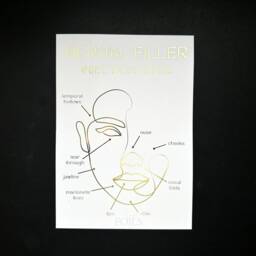 Dermal Filler Injection Sites Print For Aesthetic Clinic Decor, Foil Poster Wall Art, A4 Beauty Salon Information Sign, Nurse Gift - thumbnail 2