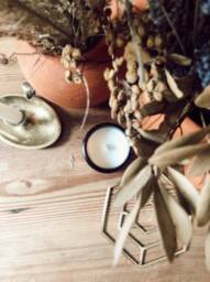Sea Salt + Yuzu Refillable Wooden Wick Apricot Coconut Soy Candle Apothecary - thumbnail 3