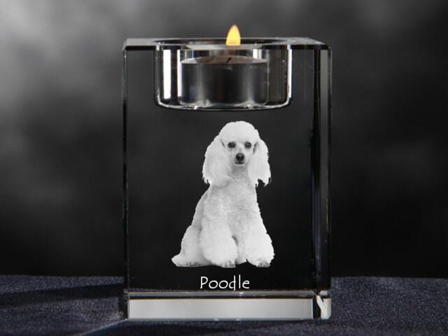 Poodle, Crystal Candlestick With Dog, Souvenir, Decoration, Limited Edition, Collection - image 1