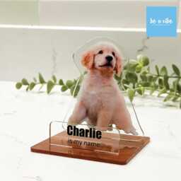 Personalised Acrylic Photo Stand/Frame With Custom Message - Unique Cutout Display For Cat Photo, Dog Family & Loved Ones - thumbnail 3