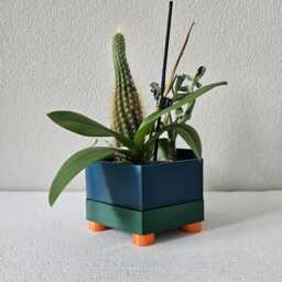 Colourful Honeycomb Indoor Planter With Drainage Hole & Drip Tray - thumbnail 1