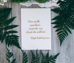 Handwritten Gold Calligraphy Art Print Ralph Waldo Emerson Quote - 5x7