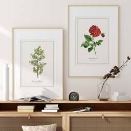 Eastern Red Cedar Print - Printed & Shipped Illustration Floral Watercolour Home Decor - thumbnail 3