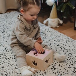 Wooden Educational Toy Shape Sorter With Personalization, Shape & Color Sorting Toy, Toddler Learning Game, Box & Dinosaurs Shapes - thumbnail 4