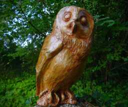 The Owl - thumbnail 1