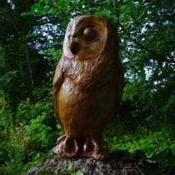 The Owl - thumbnail 2