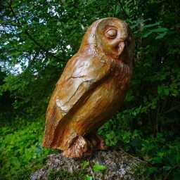 The Owl - thumbnail 3