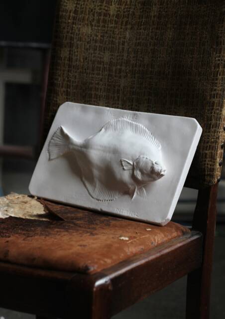 Plaice Fish Plaster Cast, Brucciani Victorian Sculpture Copy, Fishing Wall Art - image 1