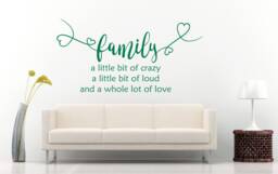 Family Quote, Vinyl Wall Art Sticker Decal Mural, Bedroom, Lounge. Home, Wall, Mirror, Window Decor. Crazy, Loud, Love - thumbnail 1