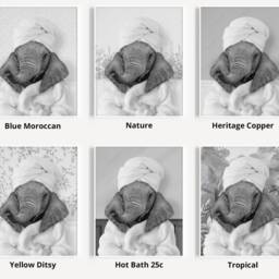 Black & White Baby Elephant in A Bathrobe Print, Bathing, Funny Bathroom Animal Towel On Head, Bath Robe - thumbnail 3