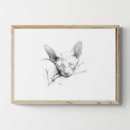 Sleeping Sphynx Cat Print, Vintage Sketch, Farmhouse Decor, Gifts - thumbnail 1