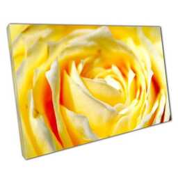 Vibrant Yellow Rose Close-Up Canvas Print Botanical Floral Wall Art For Home & Office Decor - thumbnail 1