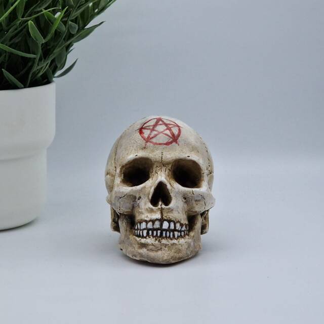 Pentagram Solid Mini Human Skull Ornament Small Replica Plaster Of Paris Skull - image 1