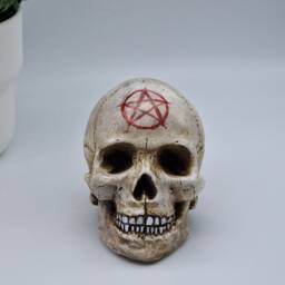 Pentagram Solid Mini Human Skull Ornament Small Replica Plaster Of Paris Skull - thumbnail 2