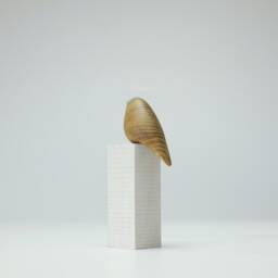 Duo Bird - 166 - thumbnail 4