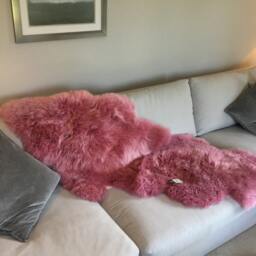 xxl Pink Sheepskin Rug Throw Gorgeous Genuine Double Sized Luxury in A Rose Pink , Student, Interior Decor, Hygge, Fur, Sheepskin - thumbnail 4