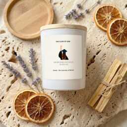 Graduation Candle, She Believed Could, Personalised University Gift, Soy Wax - thumbnail 4